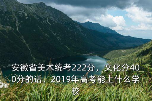 安徽省美術統(tǒng)考222分，文化分400分的話，2019年高考能上什么學校