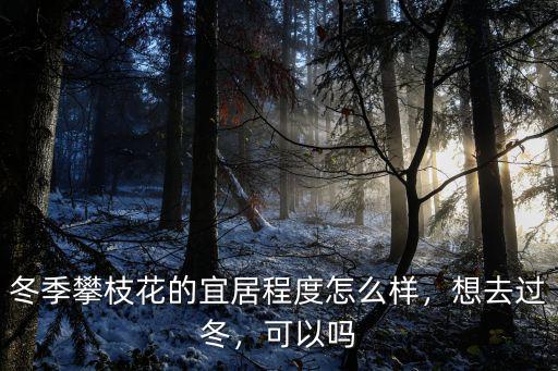 攀枝花冬天去哪里,冬天去攀枝花有啥好玩兒的