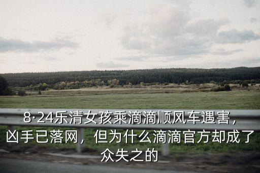 滴滴順風(fēng)車(chē)事件兇手是四川哪里人,滴滴順風(fēng)車(chē)再出命案