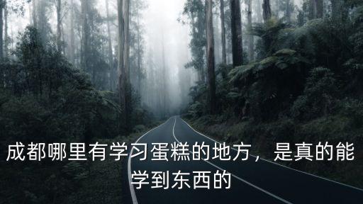 成都哪里有沙皮狗蛋糕,成都哪里有學習蛋糕的地方