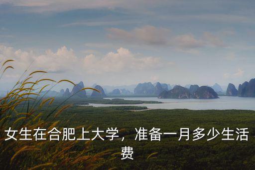女生在合肥上大學(xué)，準(zhǔn)備一月多少生活費(fèi)