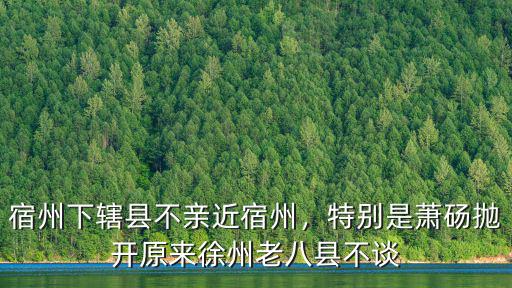 宿州下轄縣不親近宿州，特別是蕭碭拋開原來徐州老八縣不談