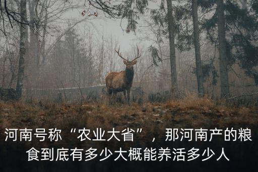 河南號稱“農業大省”，那河南產的糧食到底有多少大概能養活多少人