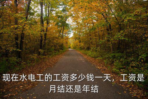 現在水電工的工資多少錢一天，工資是月結還是年結