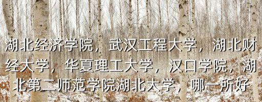 湖北經濟學院，武漢工程大學，湖北財經大學，華夏理工大學，漢口學院，湖北第二師范學院湖北大學，哪一所好
