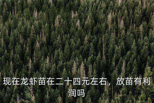 現在龍蝦苗在二十四元左右，放苗有利潤嗎