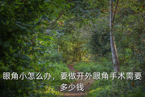 眼角小怎么辦，要做開外眼角手術需要多少錢
