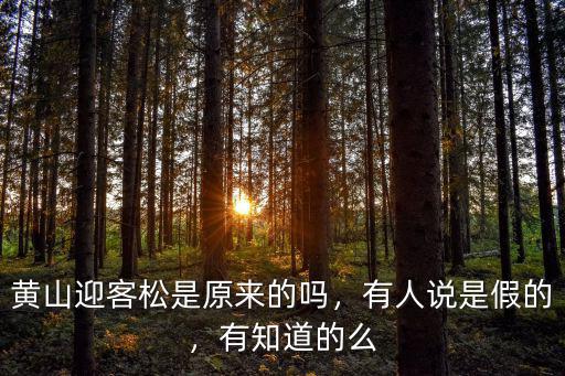 黃山的迎客松有多少棵,黃山迎客松是原來的嗎