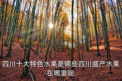 四川水蜜桃哪里產(chǎn)的,四川盛產(chǎn)水果在哪里呢