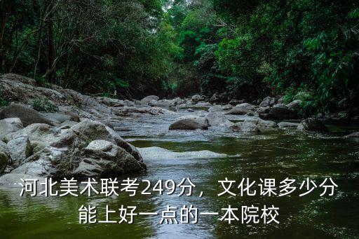 河北美術聯考249分，文化課多少分能上好一點的一本院校