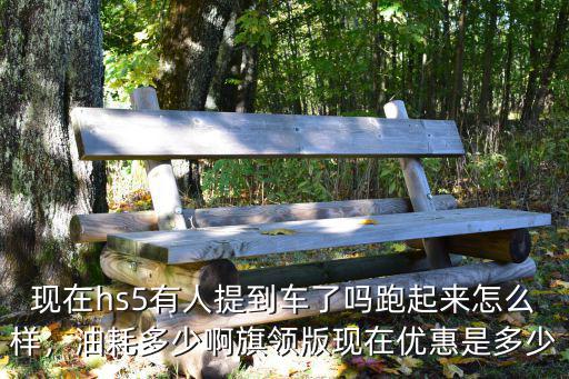 現在hs5有人提到車了嗎跑起來怎么樣，油耗多少啊旗領版現在優惠是多少
