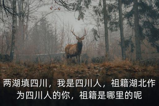 湖廣填四川的劉姓是哪里,都說湖廣填四川