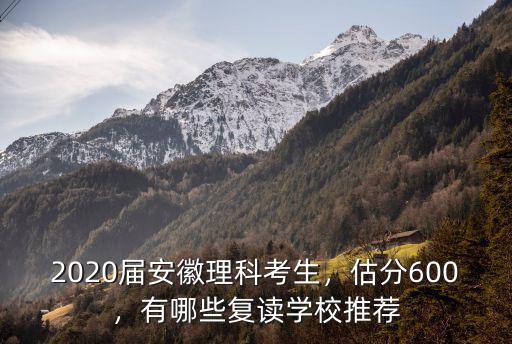 安徽理科有多少人考了600分,2020屆安徽理科考生