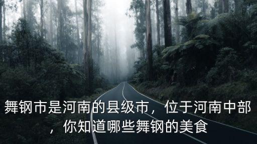 舞鋼市是河南的縣級市，位于河南中部，你知道哪些舞鋼的美食