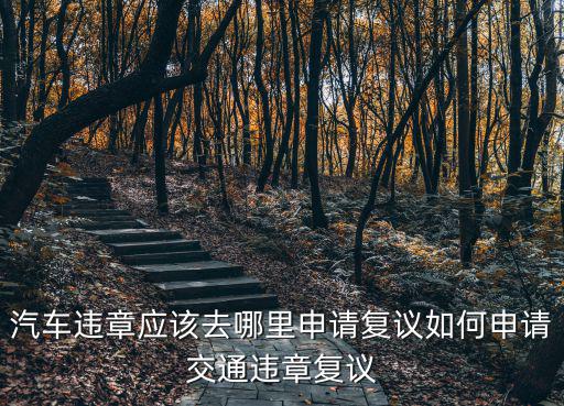 洛陽罰單去哪里申請復(fù)議,汽車違章應(yīng)該去哪里申請復(fù)議