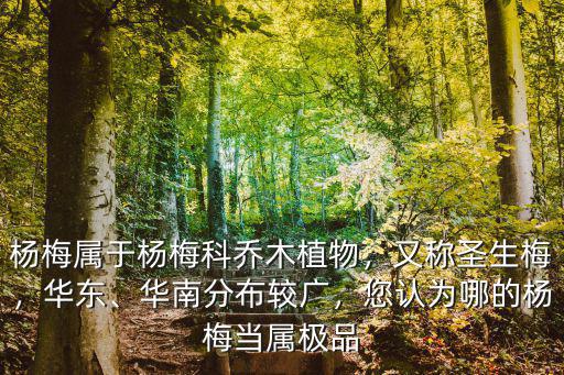 廣安哪里有楊梅,廣安看桃花有哪些地方