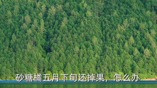 宜賓哪里可以摘砂糖橘,砂糖橘什么時候可以采摘