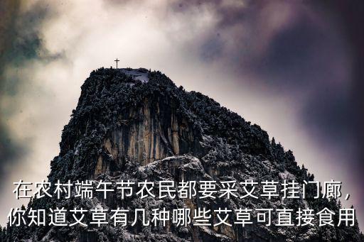 端午節哪里去采艾草 成都,端午節快到了