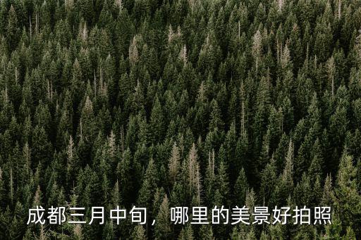 成都周邊哪里的油菜花開了,哪里的油菜花好看