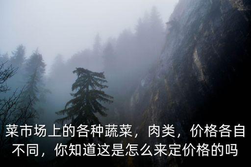 菜市場上的各種蔬菜，肉類，價格各自不同，你知道這是怎么來定價格的嗎