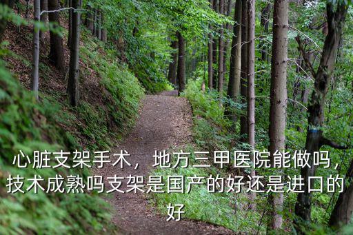 心臟支架手術，地方三甲醫院能做嗎，技術成熟嗎支架是國產的好還是進口的好