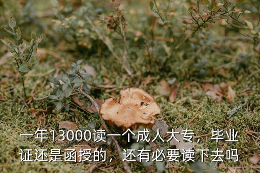 一年13000讀一個成人大專，畢業證還是函授的，還有必要讀下去嗎