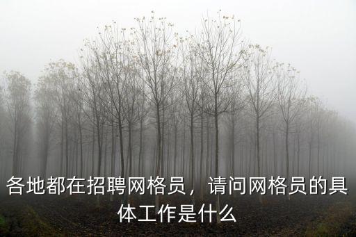 各地都在招聘網格員，請問網格員的具體工作是什么