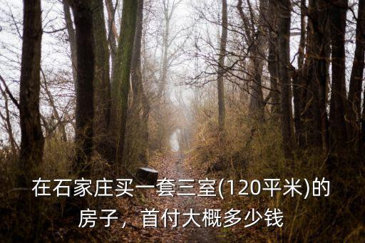 在石家莊買一套三室(120平米)的房子，首付大概多少錢