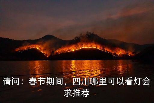 請問：春節(jié)期間，四川哪里可以看燈會求推薦