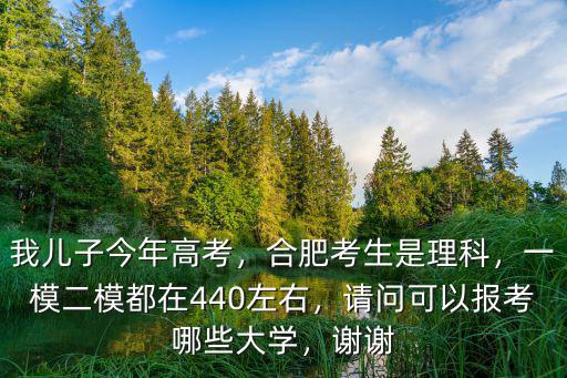 合肥學院排位多少可以報考,請問可以報考哪些大學