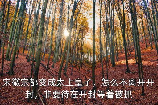 宋徽宗都變成太上皇了，怎么不離開開封，非要待在開封等著被抓