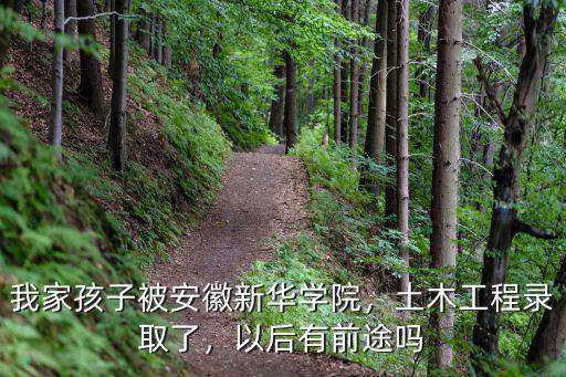 安徽新華學(xué)院歷年學(xué)費(fèi)是多少,我家孩子被安徽新華學(xué)院