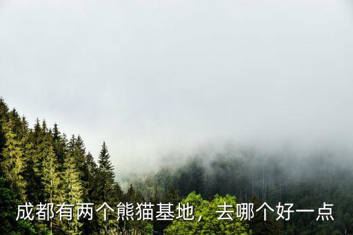 成都看大熊貓到哪里去看,成都的大熊貓基地在哪里