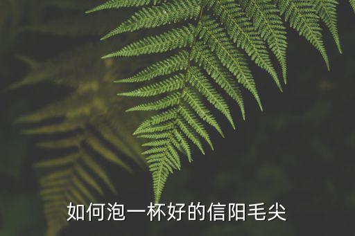 信陽毛尖怎么泡茶,信陽毛尖這樣沖泡才會好喝
