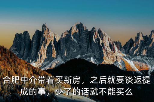 合肥中介帶看新房一般有多少提成,合肥中介帶著買新房