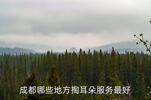 成都哪里小妹服務(wù),成都哪些地方掏耳朵服務(wù)最好