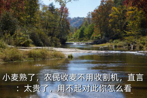小麥熟了，農(nóng)民收麥不用收割機，直言：太貴了，用不起對此你怎么看