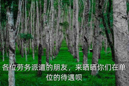 秦皇島勞務派遣工資多少,勞務派遣工的工作怎么樣