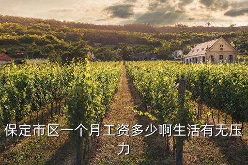 保定工資上漲多少,保定市區一個月工資多少啊