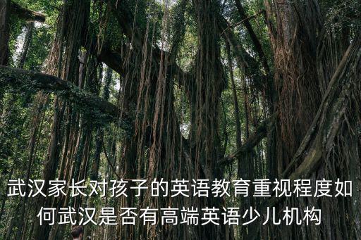 武漢英邁鯨少兒英語怎么樣,武漢是否有高端英語少兒機(jī)構(gòu)