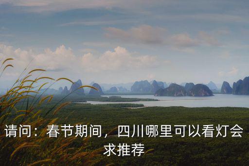 請問：春節期間，四川哪里可以看燈會求推薦