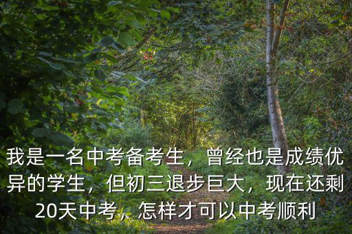 安徽省阜陽市中考還剩多少天,中考還剩27天