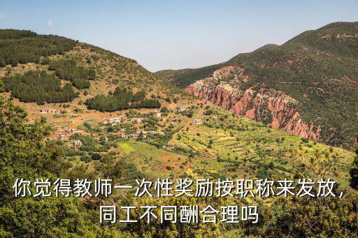 你覺得教師一次性獎勵按職稱來發放，同工不同酬合理嗎