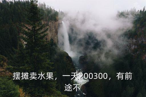 擺攤賣水果，一天200300，有前途不