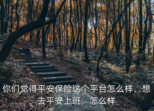 你們覺得平安保險這個平臺怎么樣，想去平安上班，怎么樣