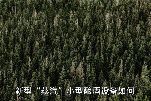 新型“蒸汽”小型釀酒設(shè)備如何