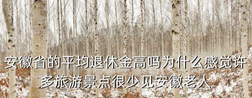 安徽省的平均退休金高嗎為什么感覺許多旅游景點很少見安徽老人