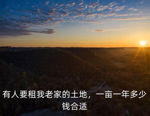 邯鄲一畝地一年租金多少錢,一畝一年多少錢合適