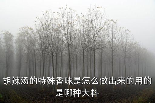 十堰胡辣湯怎么做的,西安肉丸胡辣湯怎么做