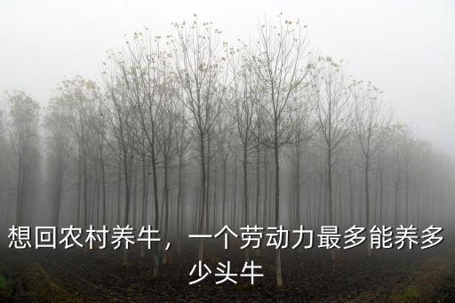 河南農村養三頭牛存多少草料,能養多少頭牛